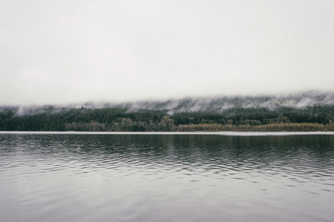 Foggy Lake